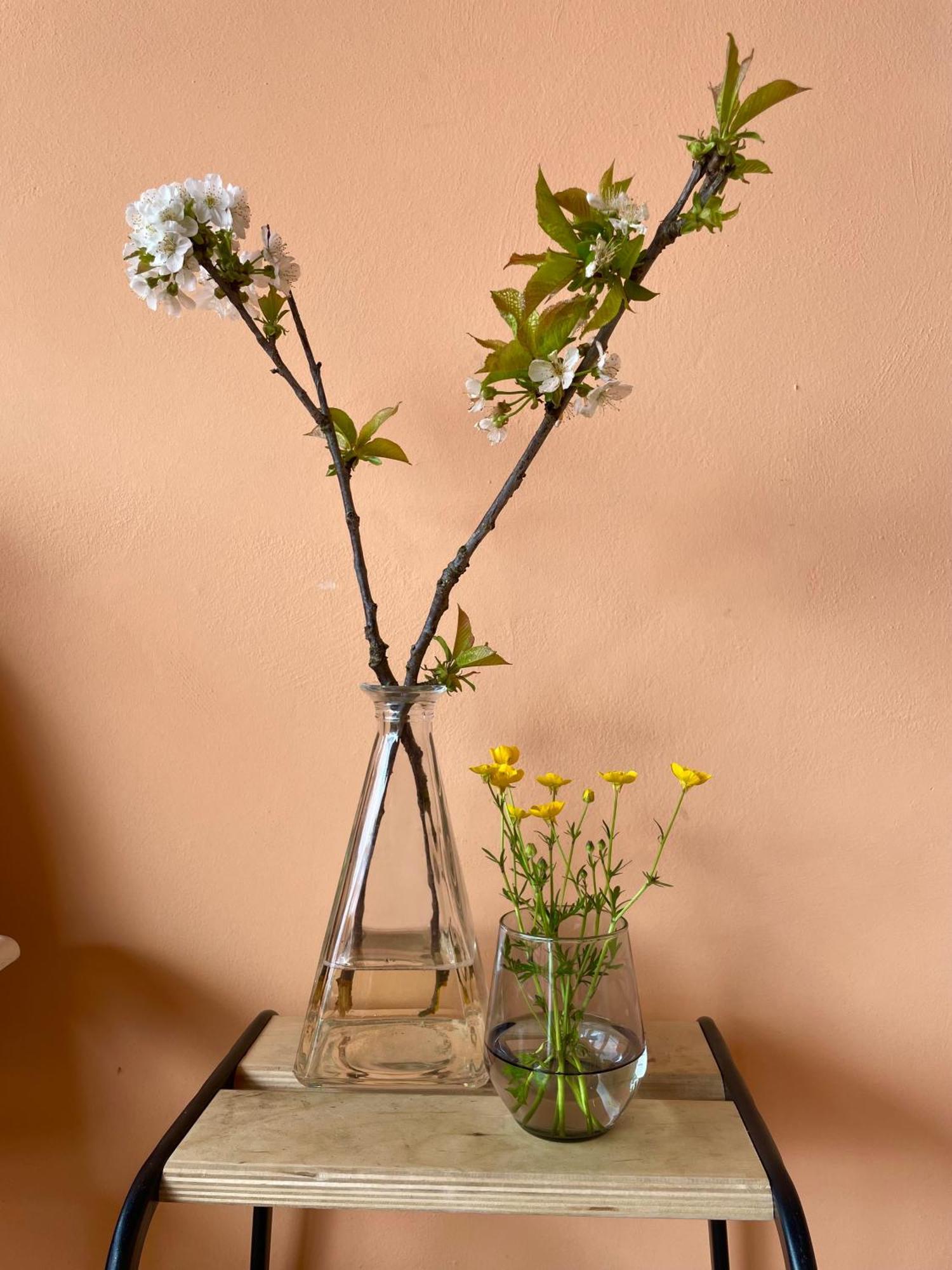 Miagliano Studio Rosa מראה חיצוני תמונה